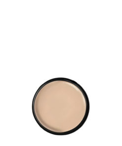 Corrector de Ojeras Artez Westerley X 7 Gr