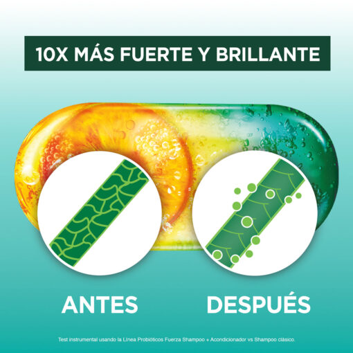 Shampoo Garnier Fructis Probióticos Fuerza X 200 Ml - Imagen 4