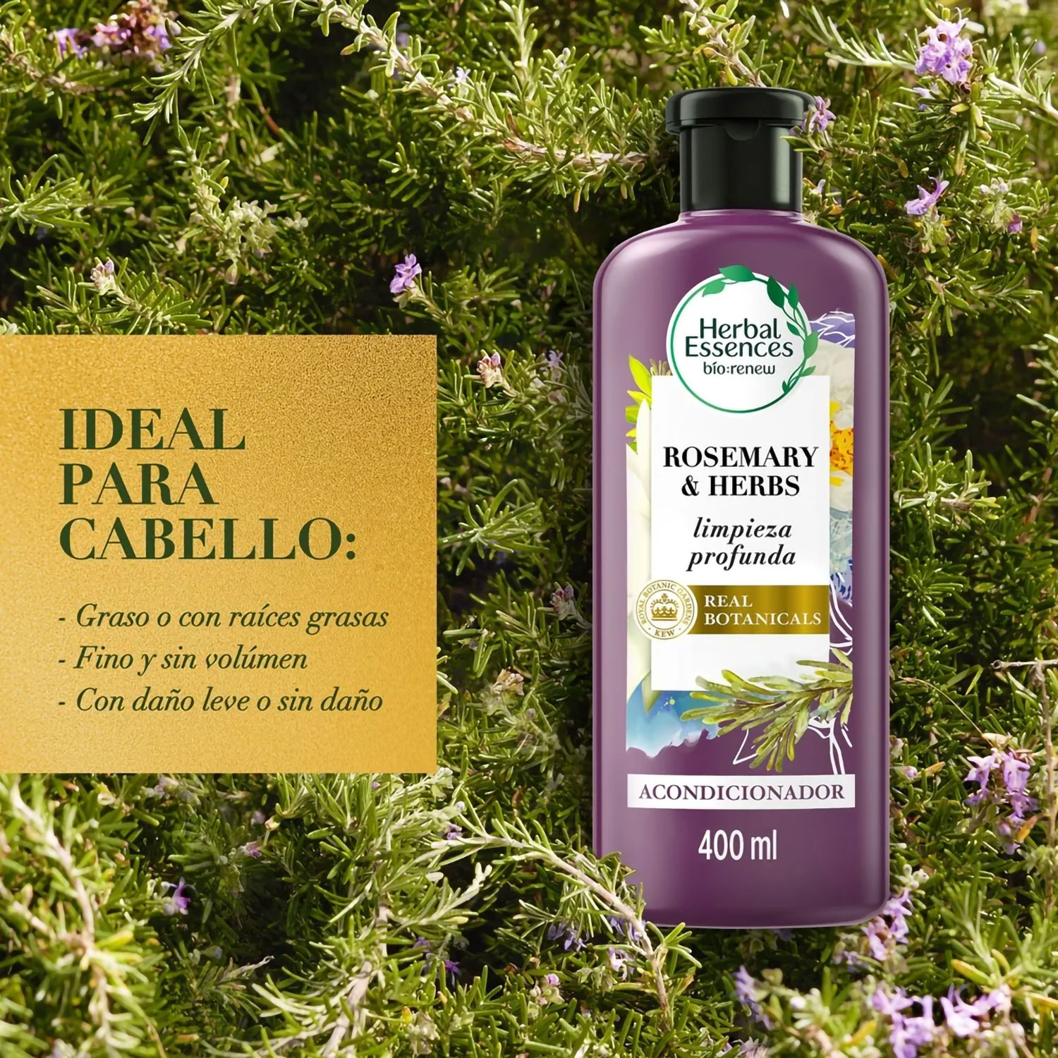Acondicionador Herbal Essences Rosemary & Herbs X 400 Ml - Imagen 3
