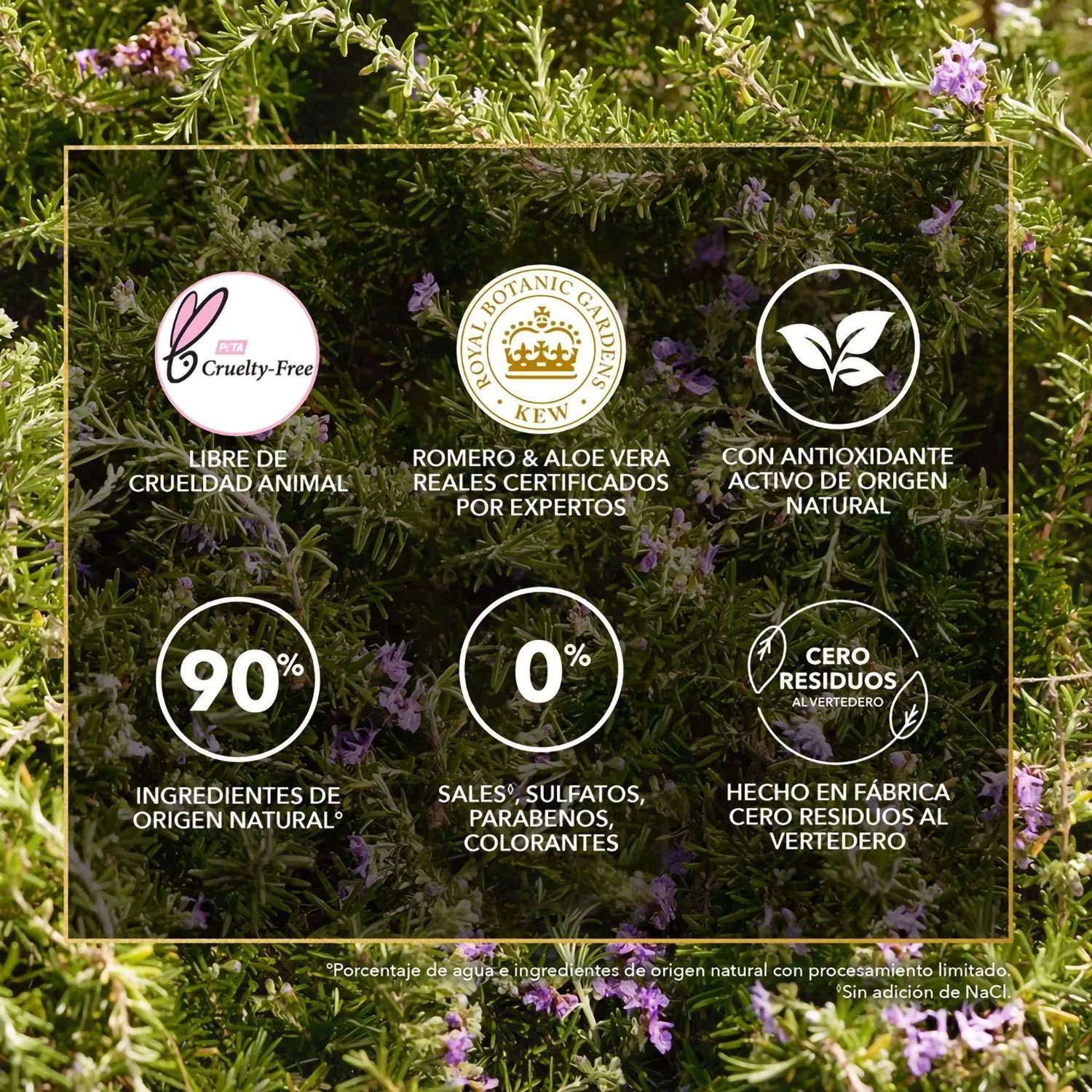 Acondicionador Herbal Essences Rosemary & Herbs X 400 Ml - Imagen 5