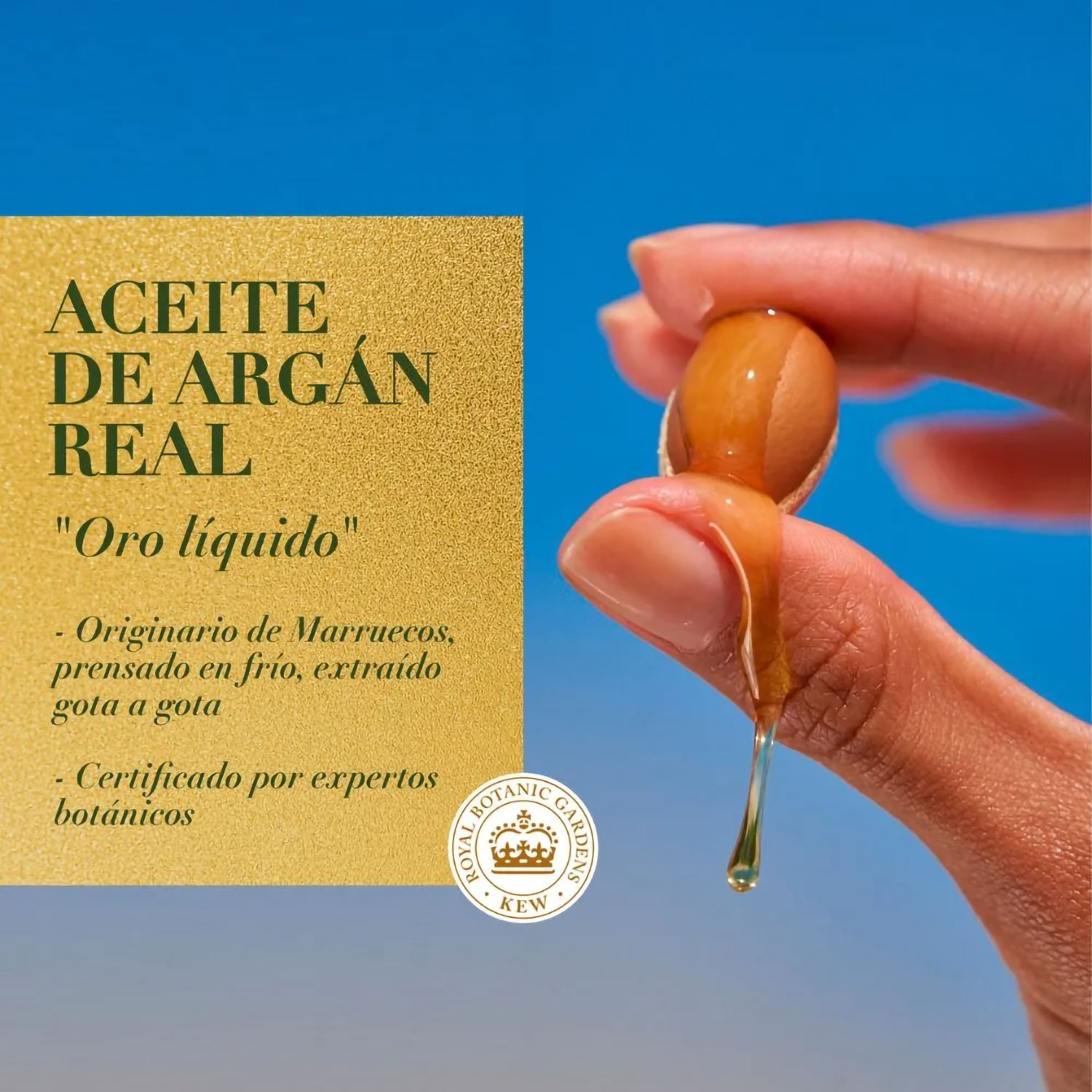 Acondicionador Herbal Essences Argan Oil X 400 Ml - Imagen 5