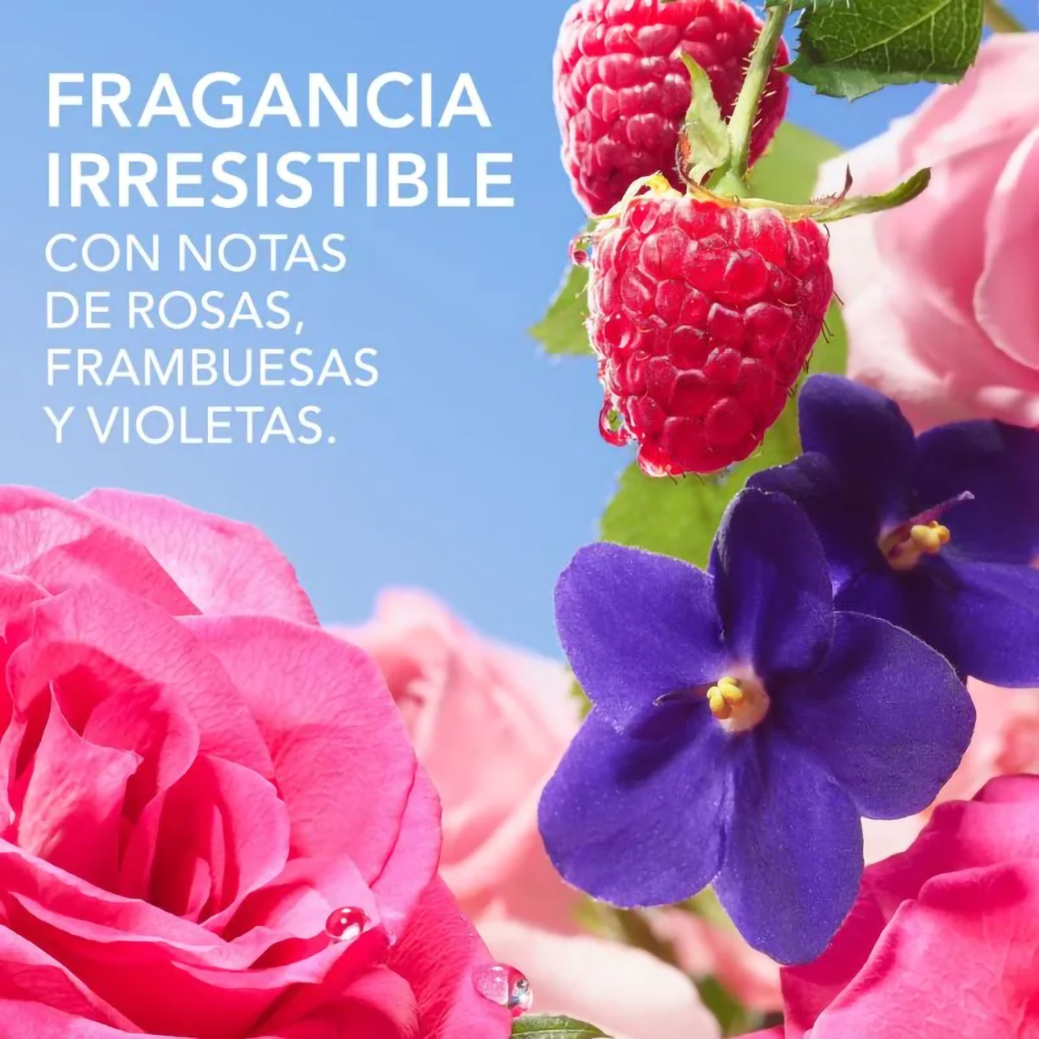 Shampoo Herbal Essences Rosa Mosqueta X 240 Ml - Imagen 4